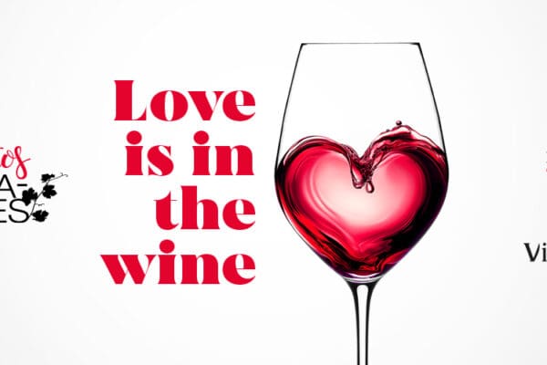 Evento San Valentin Viña Elena