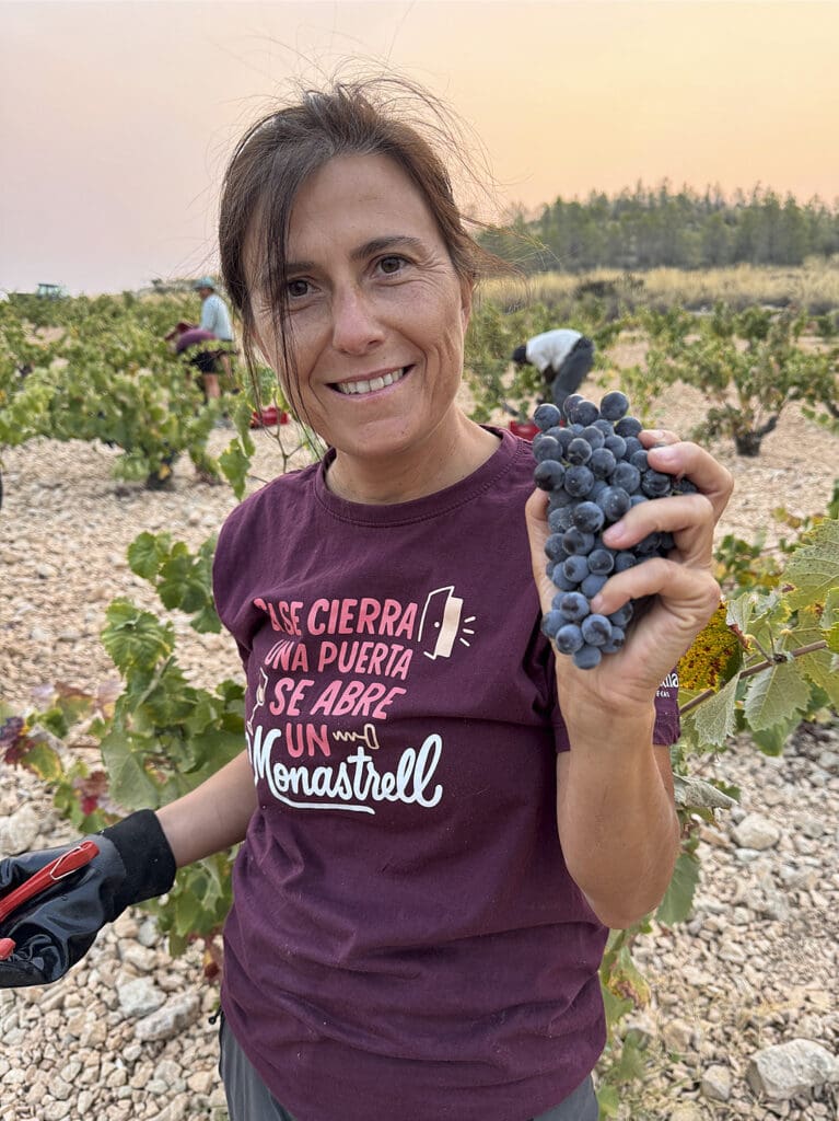 Elena Pacheco, vendimiando parcela Mandiles. Agosto 2025